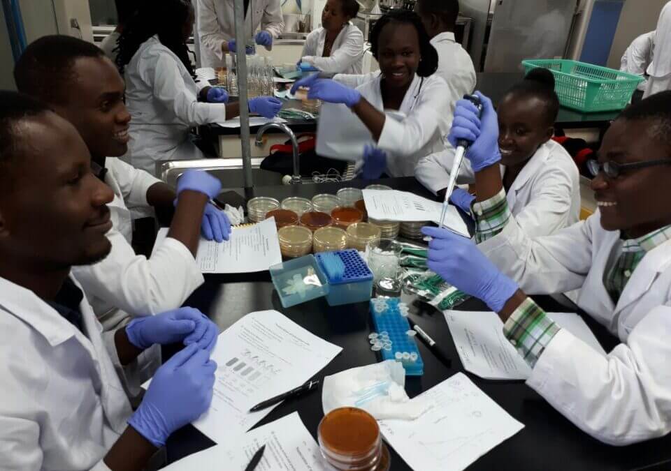 Applied sciences